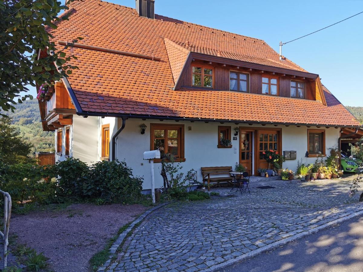 Ferienwohnung Am Fuchsbuehl Schopfheim Extérieur photo