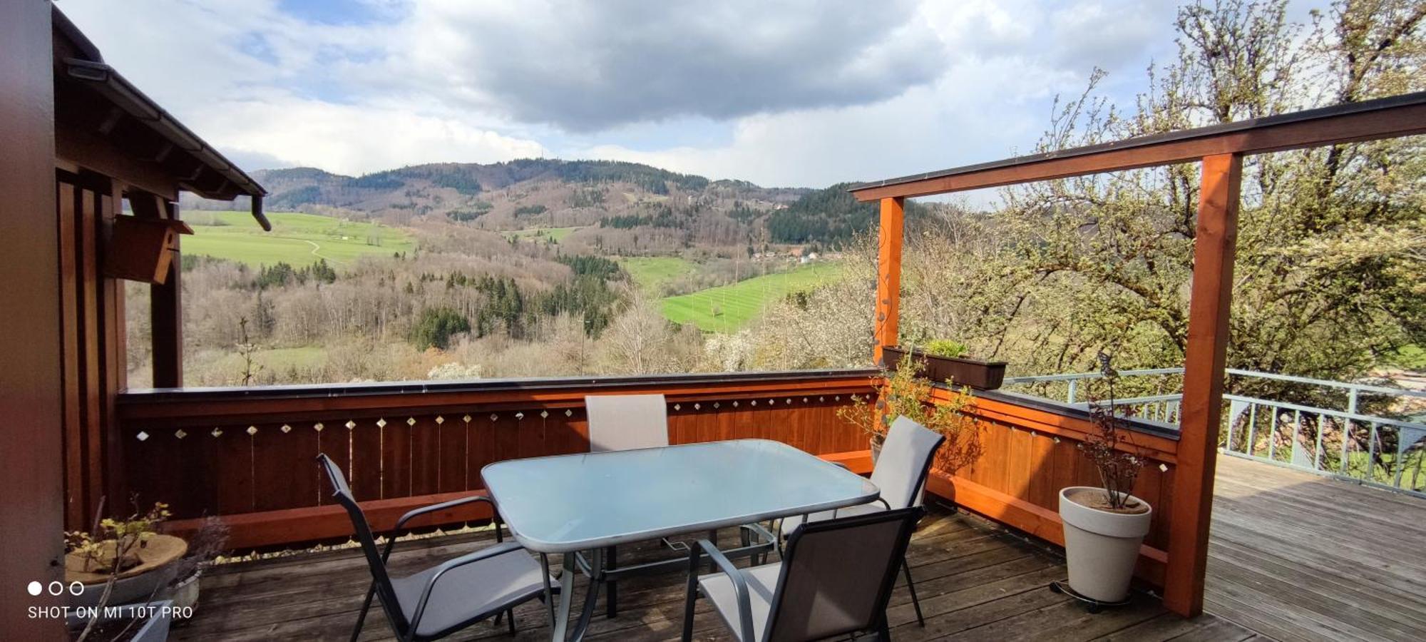 Ferienwohnung Am Fuchsbuehl Schopfheim Extérieur photo
